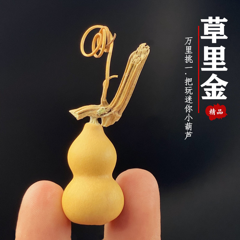 Vintage Collectible Christmas Ornaments - Natural Pear Shape Mini Dried Gourd