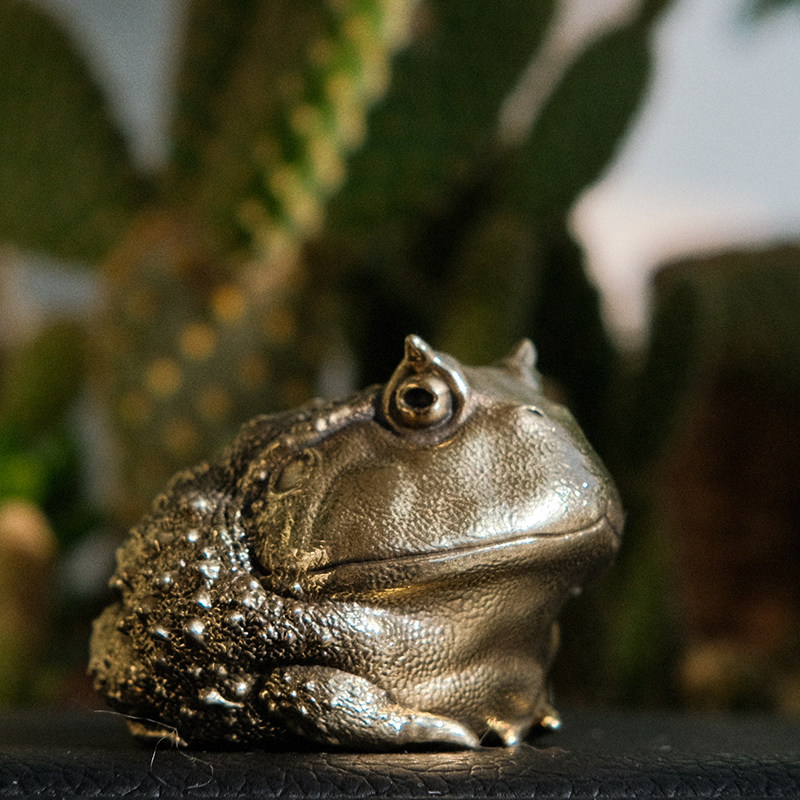 Vintage Brass Pacman Frog Orna - Vintage Collectible Furniture review and price