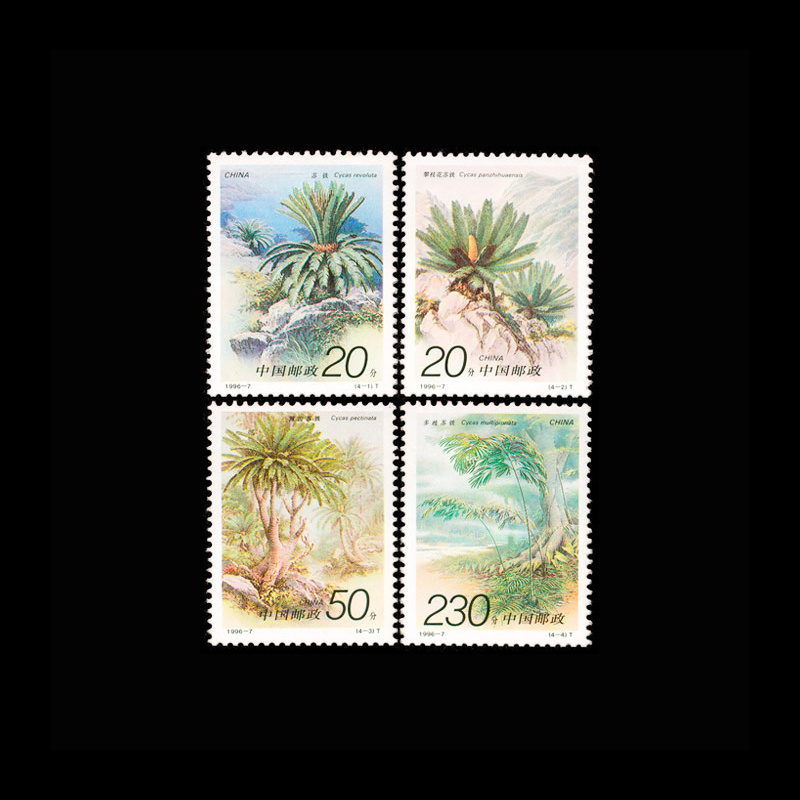 Vintage 1996 Chinese Cycas Pla - Vintage Collectible Stamps review and price